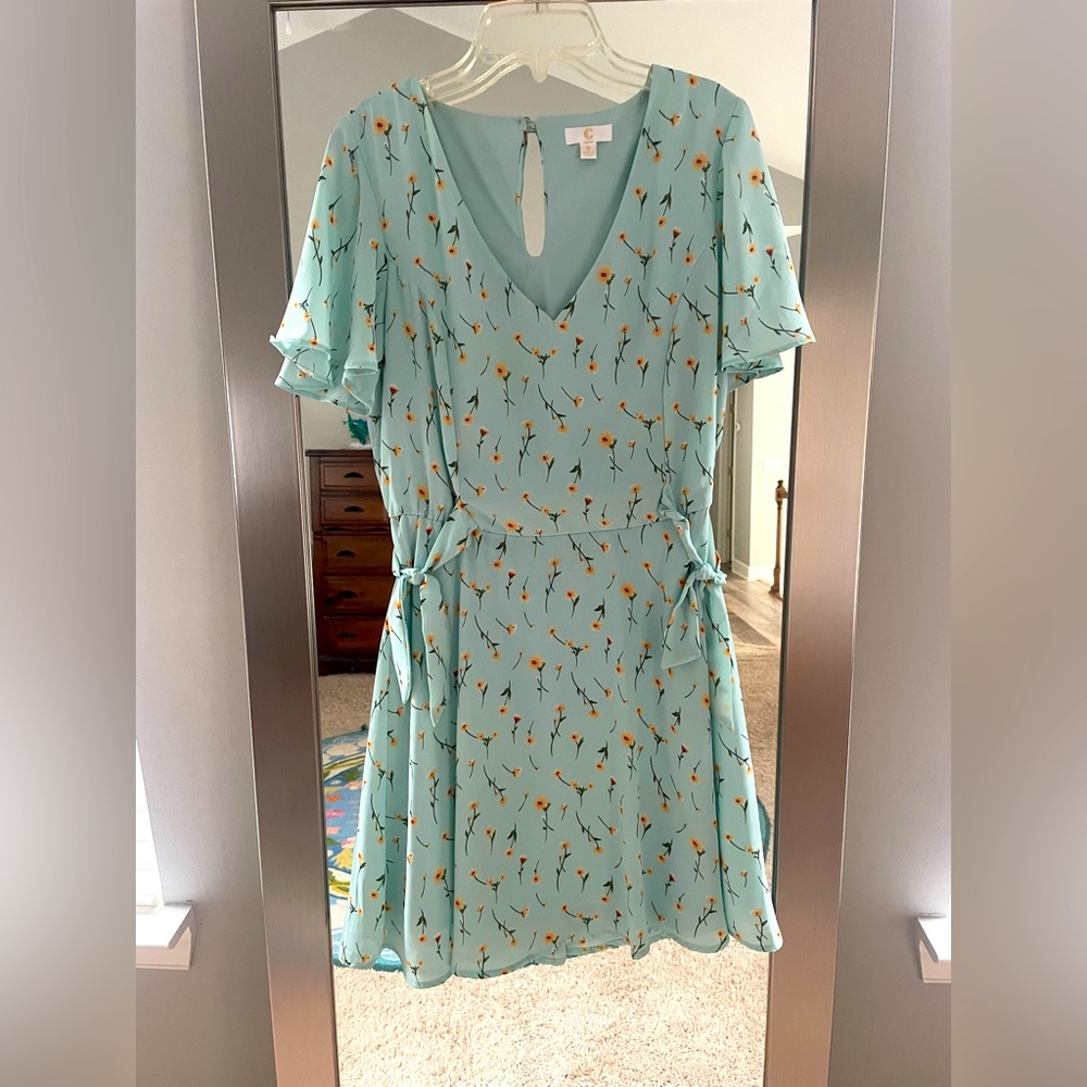 Aqua dress with gold flower design.